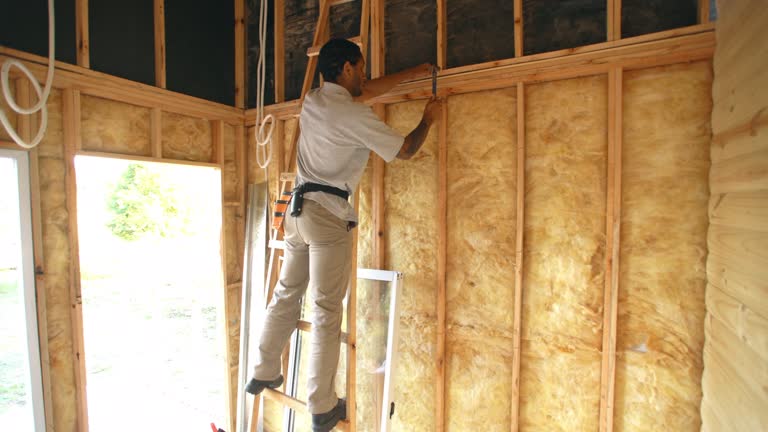 Best Commercial Insulation Services  in Maple Grove, MN